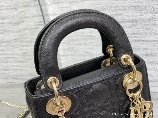 Tony Luxuries Mini diro Lady Calfskin 0408
